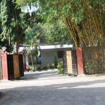 Untitled design (29)