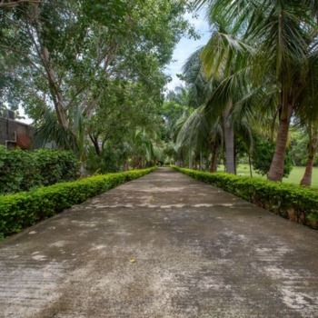 Untitled design (35)