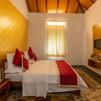 Untitled design (81)