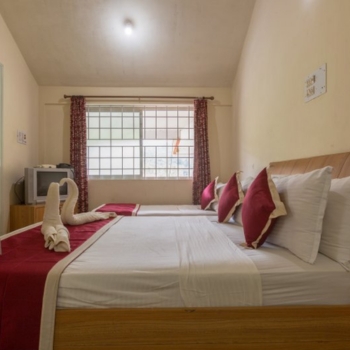 Untitled design (87)